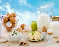 Три диетических блюда из творога яиц и молока