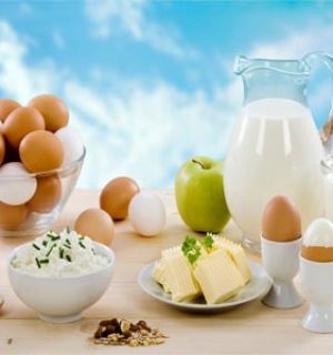 Три диетических блюда из творога яиц и молока