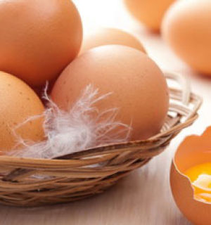 Полезные советы по приготовлению яиц