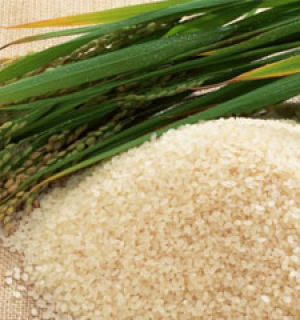 Приготовление риса: советы