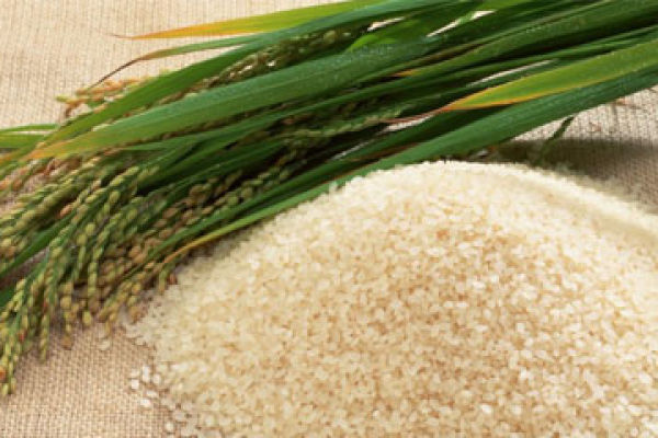 Приготовление риса: советы