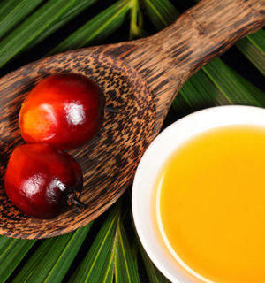 Что собой представляет это загадочное пальмовое масло?