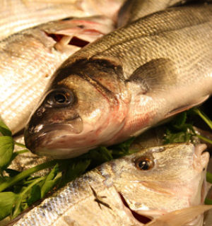 Что приготовить из рыбы, если вам назначили диету 4?