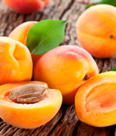 Правда ли что абрикосы помогают жить дольше? Все о пользе этого солнечного плода
