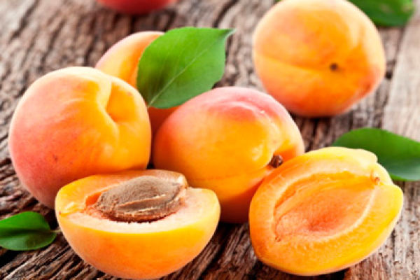 Правда ли что абрикосы помогают жить дольше? Все о пользе этого солнечного плода